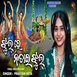 Jhul Re Nitai Jhul Pragyan Hota